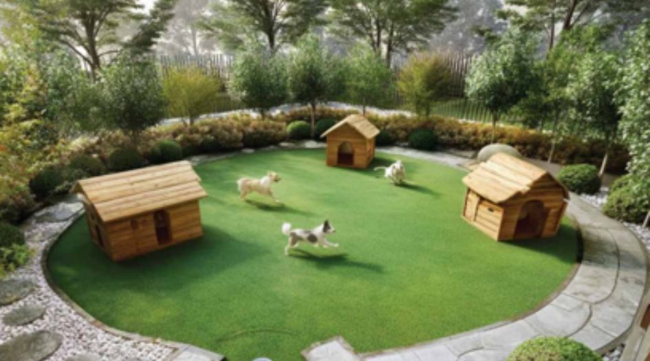 One-Vara-Amenities-Pet-Park